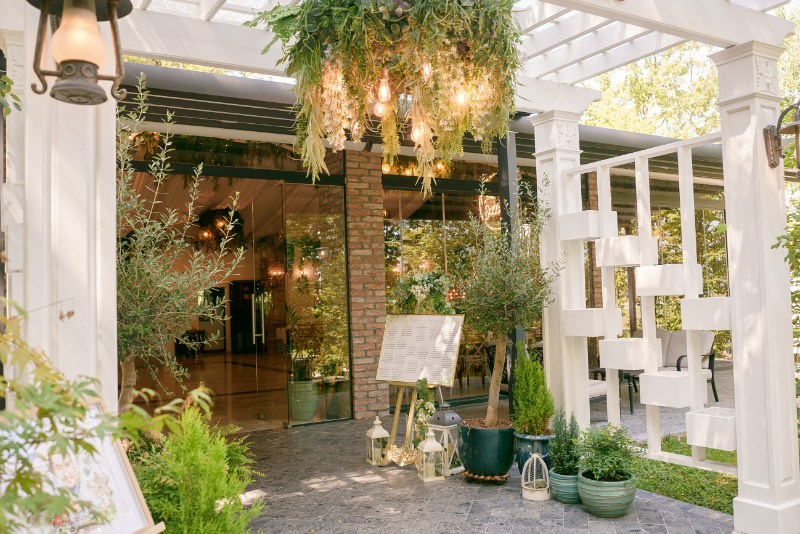 Cireșul Sălbatic. Stefan Teodorescu — Fotograf de Nunta