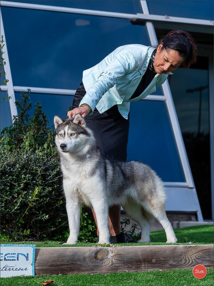 🇫🇷Exposition Canine Internationale de Perpignan. Photographe à Strasbourg | Portraits, Studio, Enfants, Événements