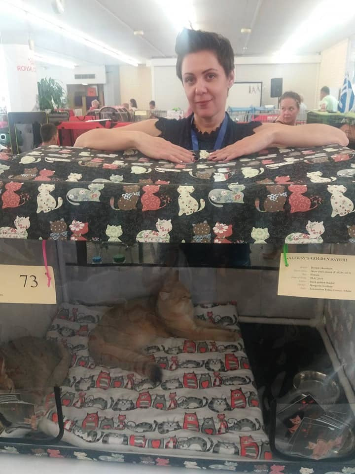 έκθεση γάτας στην Ελλάδα, έκθεση γάτας στην Αθήνα, έκθεση γάτας 2019, βρετανικά γατάκια Ελλάδα, βρετανικά γατάκια Κύπρος, βρετανική γάτα Λεμεσός, βρετανική γάτα Κύπρος, εκτροφείο βρετανικής γάτας Κύπρος, εκτροφείο βρετανικής γάτας Λεμεσός, εκτροφείο βρετανικής γάτας Λάρνακα, εκτροφείο βρετανικής κοντότριχης γάτας στην Αθήνα, εκτροφείο βρετανικής κοντότριχης στην Ελλάδα, βρετανική κοντότριχη γάτα τιμή