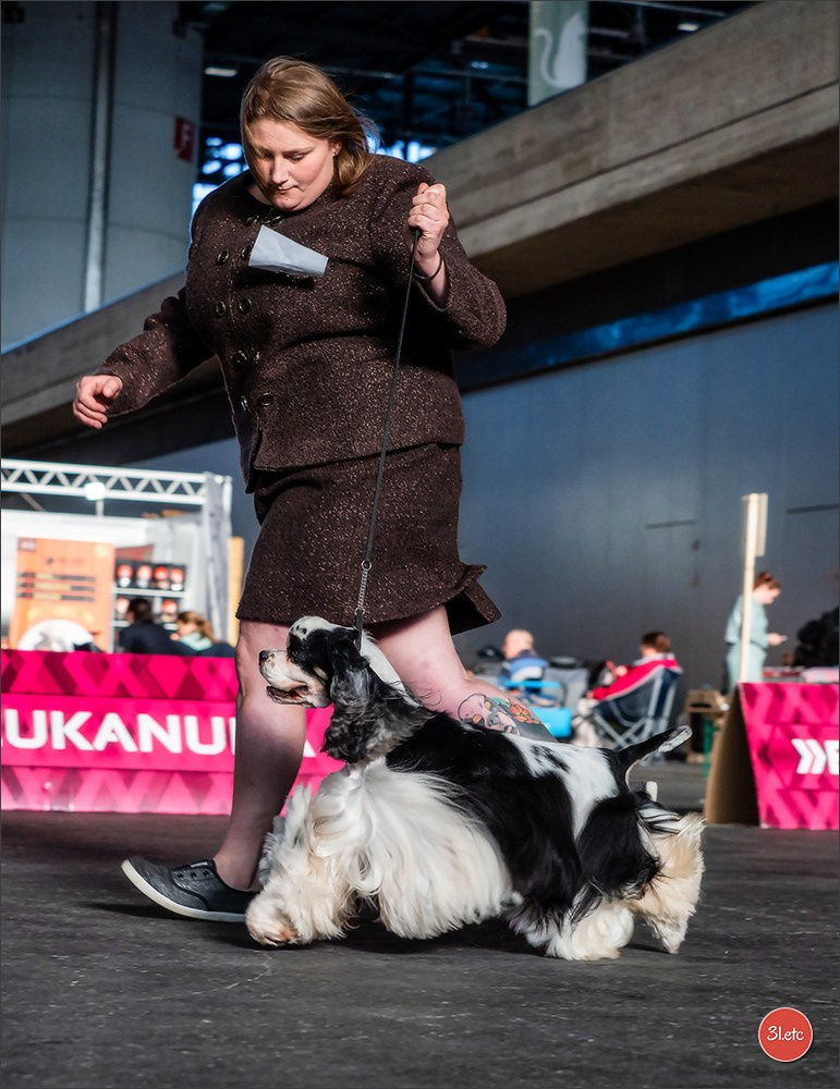 🇨🇭 Geneva Dog Show 15-17/11/2024. Photographe à Strasbourg | Portraits, Studio, Enfants, Événements