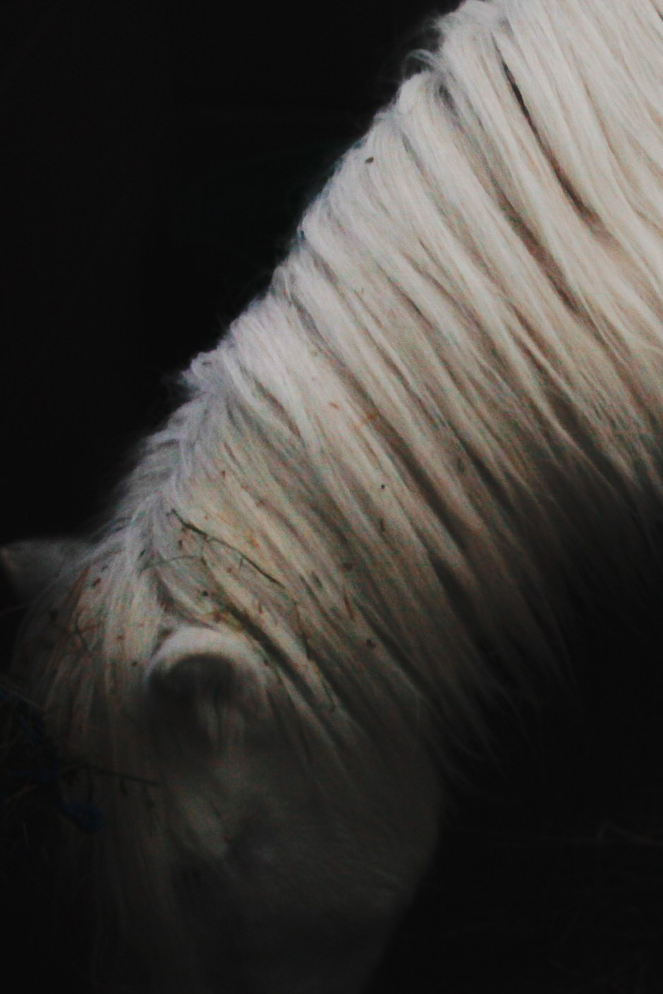 Photography. Lifestyle & Documentary Photography in Bristol, Bath & London — def0cused