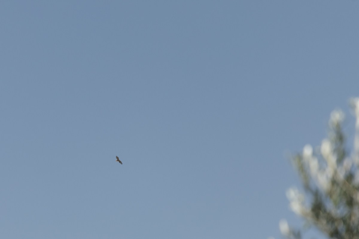 C & A Cyprus. Destination wedding photographer in Netherlands, Germany, Italy, Greece & Europe-Tina Yalova