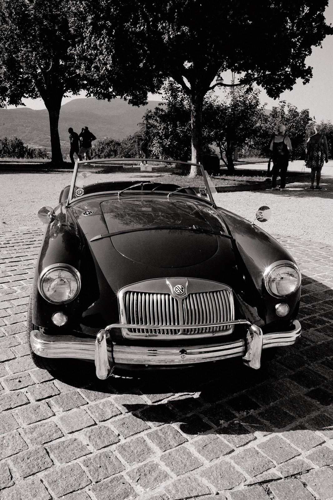 Axelle & Thomas. Ekaterina Brevet - photographe de mariage