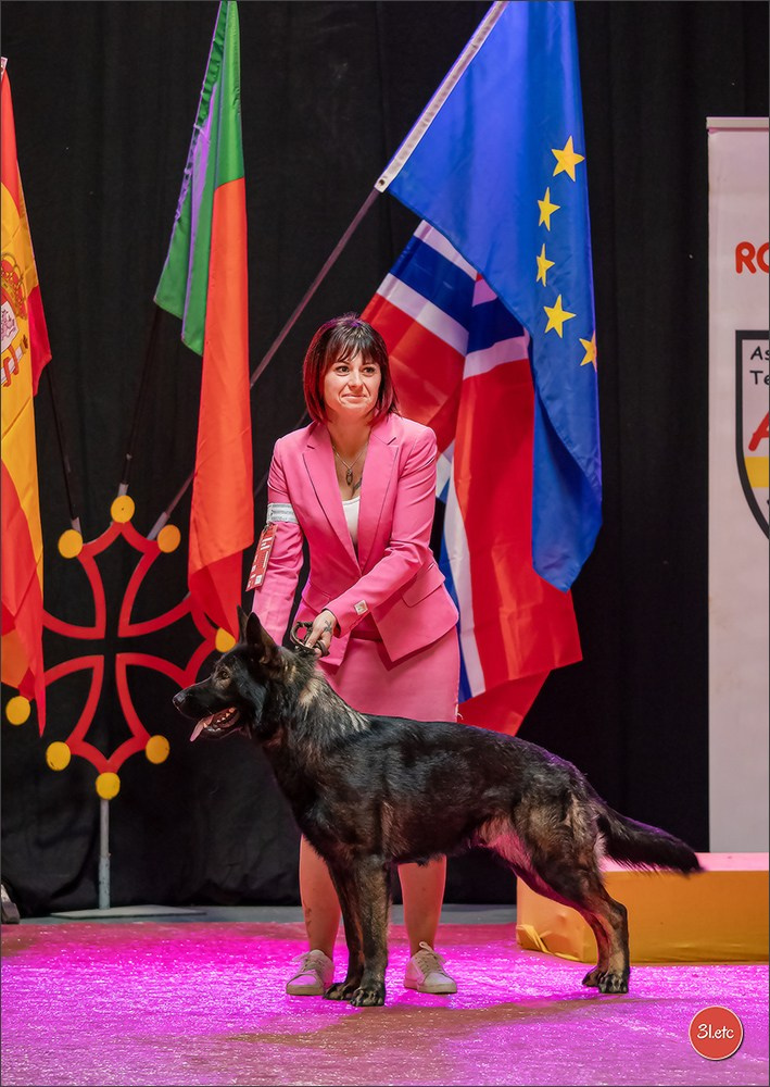 Expo canine 🇫🇷 Beziers 11-12/10/2025. Photographe à Strasbourg | Portraits, Studio, Enfants, Événements