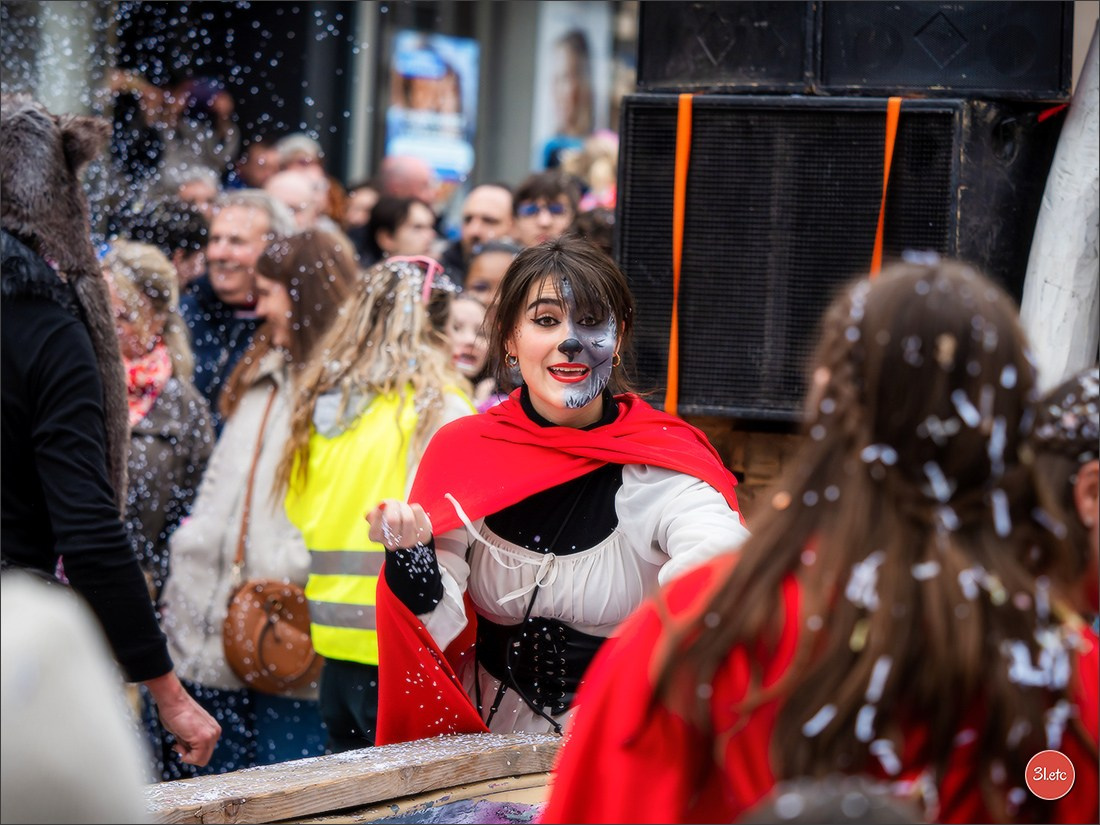 Concerts . Carnavals . Festivals. Photographe à Strasbourg | Portraits, Studio, Enfants, Événements