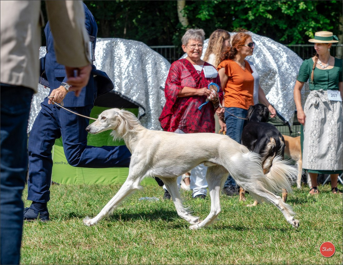 Dog Show Hallbergmoos  🇩🇪  11-13/07/2025. Photographe à Strasbourg | Portraits, Studio, Enfants, Événements
