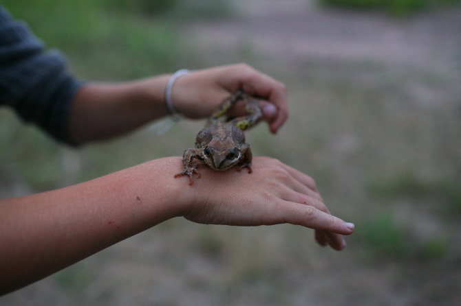 Остров Neverland. Виктория Дини. Арт-фотография