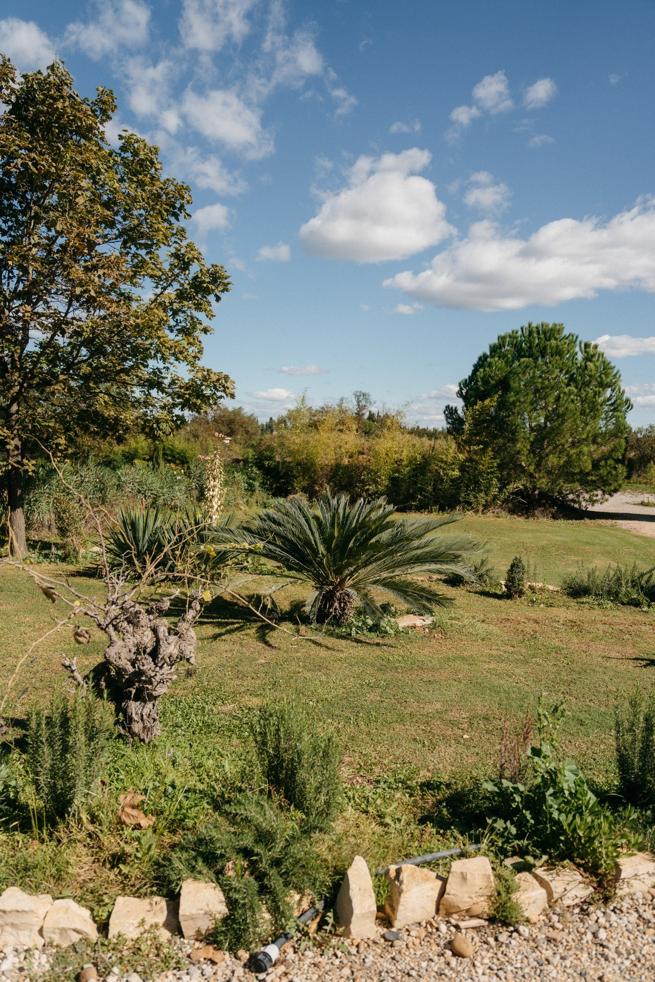 Provence & Promises. Wedding photograper — Alex Popov photography Germany, Switzerland, Italy, France. Based in Stuttgart
