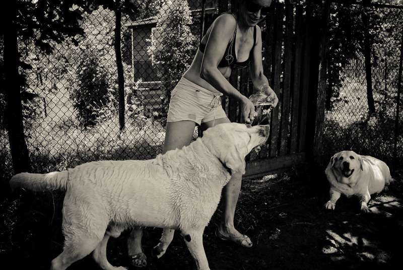 Dacha stories. Victoria Dini. Art photography in London / Folkestone, UK