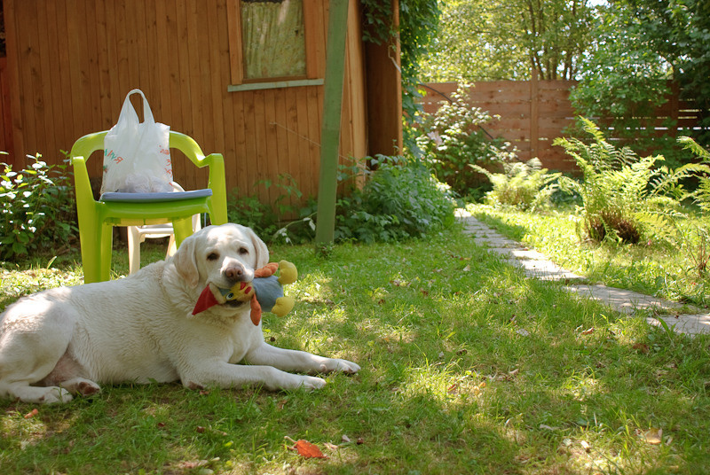 Dacha stories. Victoria Dini. Art photography in London / Folkestone, UK