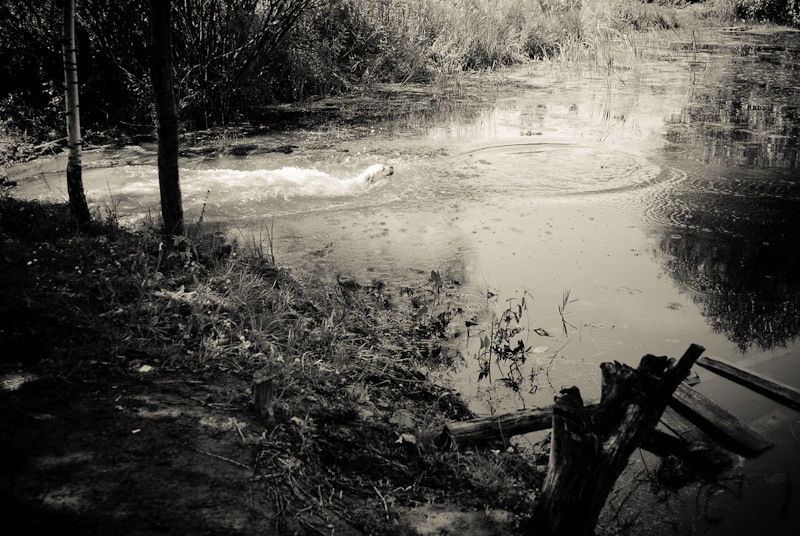 Dacha stories. Victoria Dini. Art photography in London / Folkestone, UK