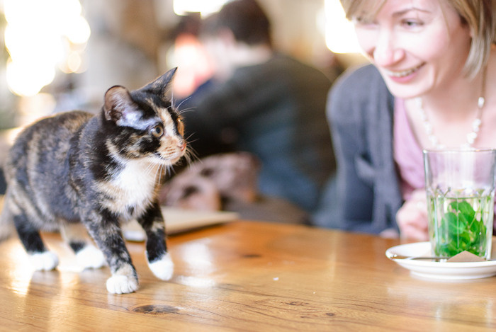Вместе. Виктория Дини. Арт-фотография