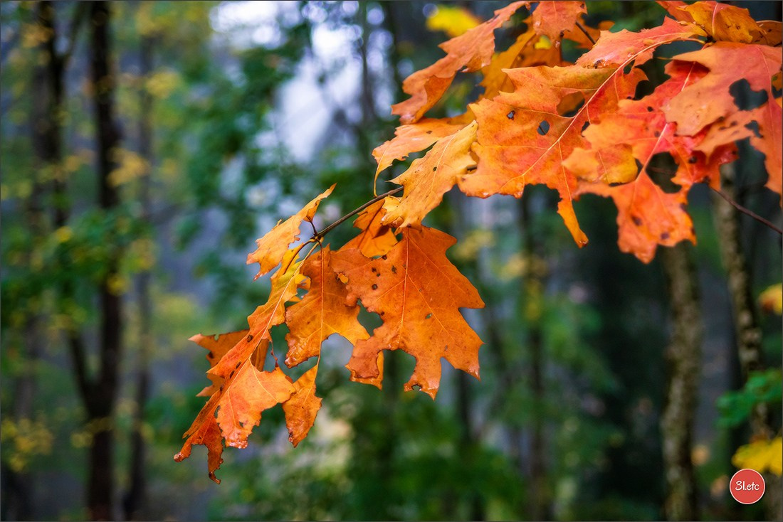 Maria Lang Andlau. Photographe à Strasbourg | Portraits, Studio, Enfants, Événements