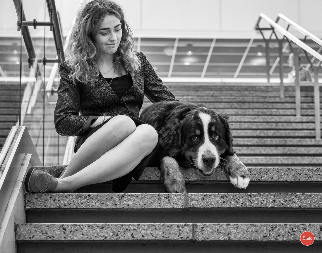 🇫🇮 WDS Helsinki 2025 🇫🇮. Photographe à Strasbourg | Portraits, Studio, Enfants, Événements