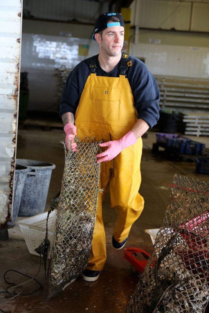 Huîtres. Natalia Bogdanovska. Films et photographie corporate en France