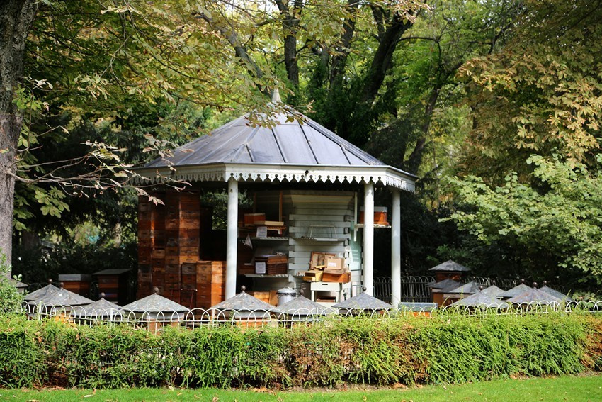 Les abeilles de Paris. Natalia Bogdanovska. Films et photographie corporate en France