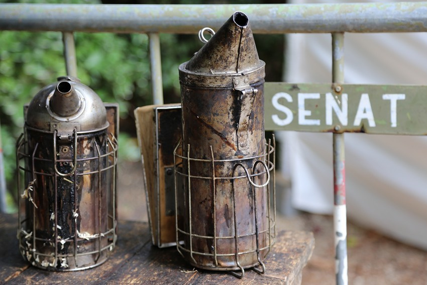Les abeilles de Paris. Natalia Bogdanovska. Films et photographie corporate en France