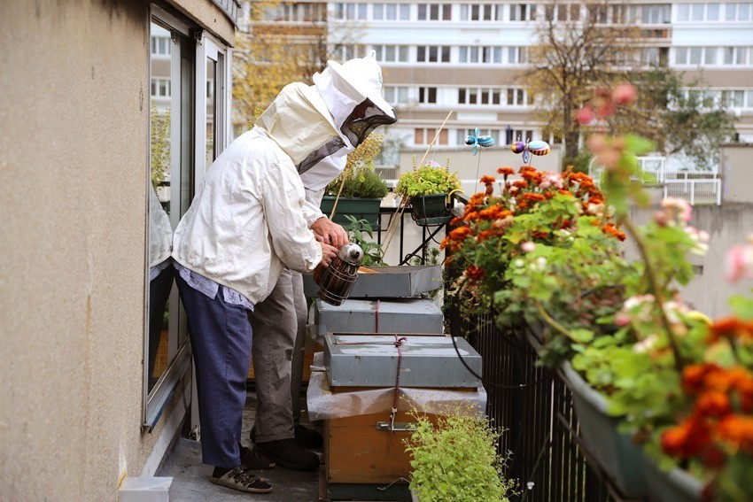 Les abeilles de Paris. Natalia Bogdanovska. Films et photographie corporate en France