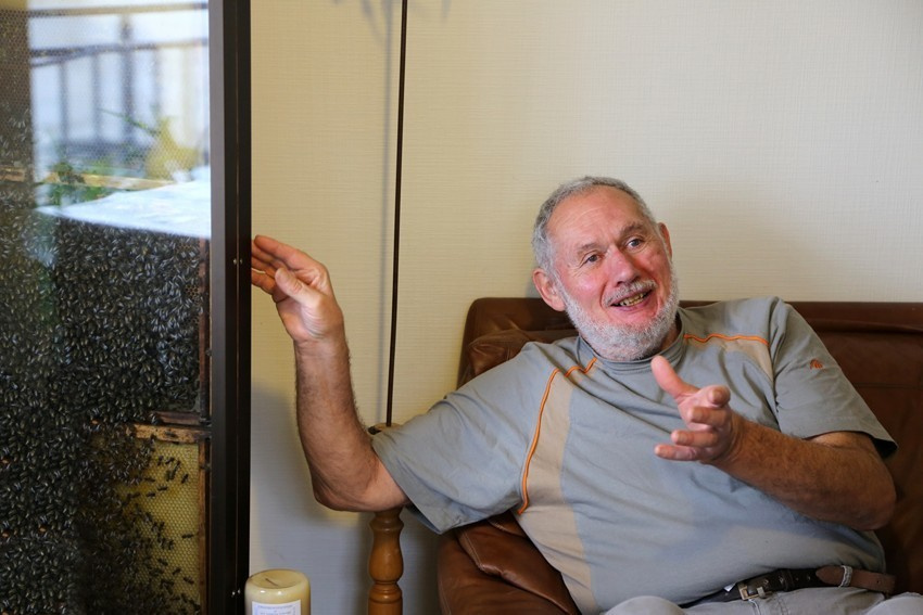 Les abeilles de Paris. Natalia Bogdanovska. Films et photographie corporate en France