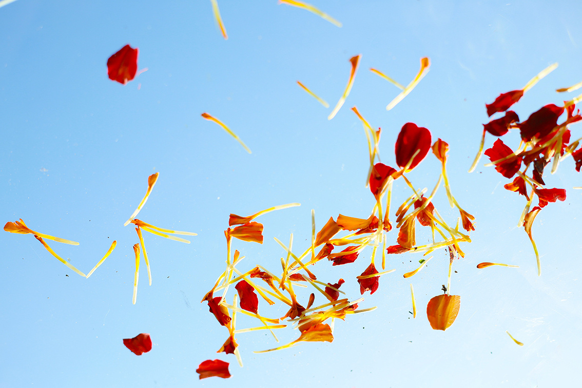 NATURE MORTE et VIVANTE. Natalia Bogdanovska. Films et photographie corporate en France