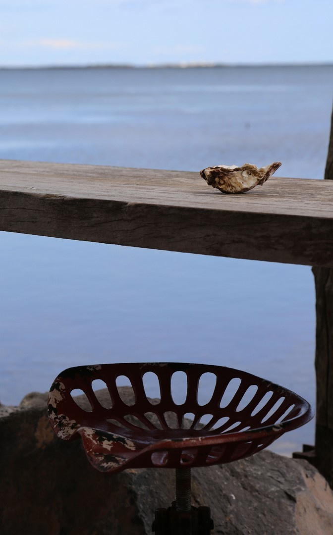 Huîtres. Natalia Bogdanovska. Films et photographie corporate en France
