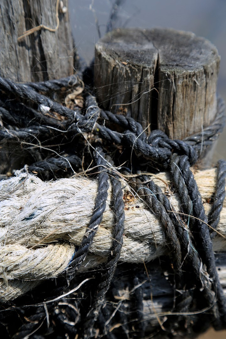 Huîtres. Natalia Bogdanovska. Films et photographie corporate en France