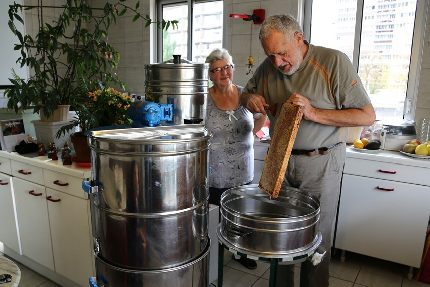 Les abeilles de Paris. Natalia Bogdanovska. Films et photographie corporate en France