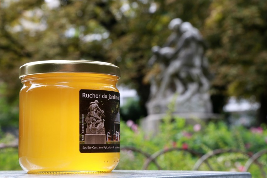 Les abeilles de Paris. Natalia Bogdanovska. Films et photographie corporate en France