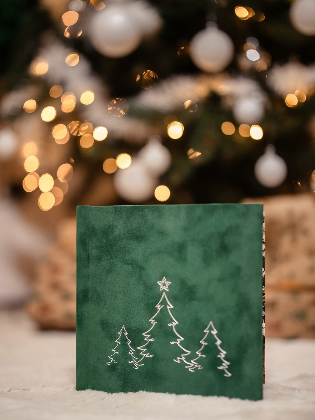 Them Artsy Studios — Ședințe Foto de Crăciun by Fulop Robert & Oana Petrea