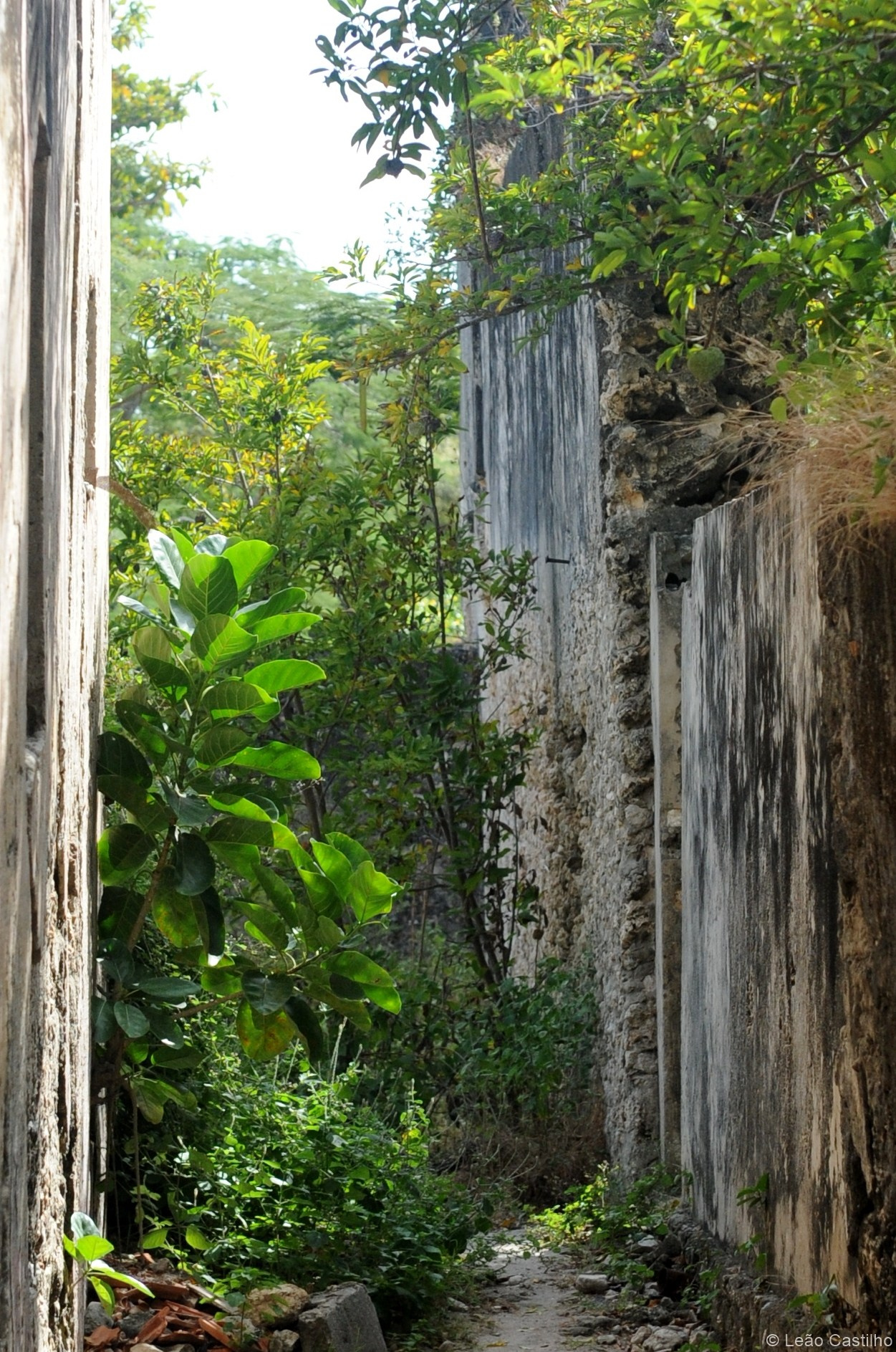 Photos from Mozambique. Simbahalu