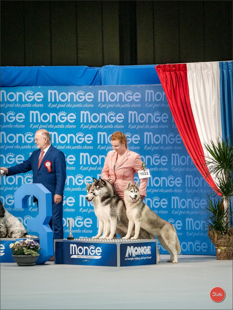 🇱🇺 LUXEMBOURG 🇱🇺 International Dog Show 🇱🇺 30/08 - 31/08/2025. Photographe à Strasbourg | Portraits, Studio, Enfants, Événements