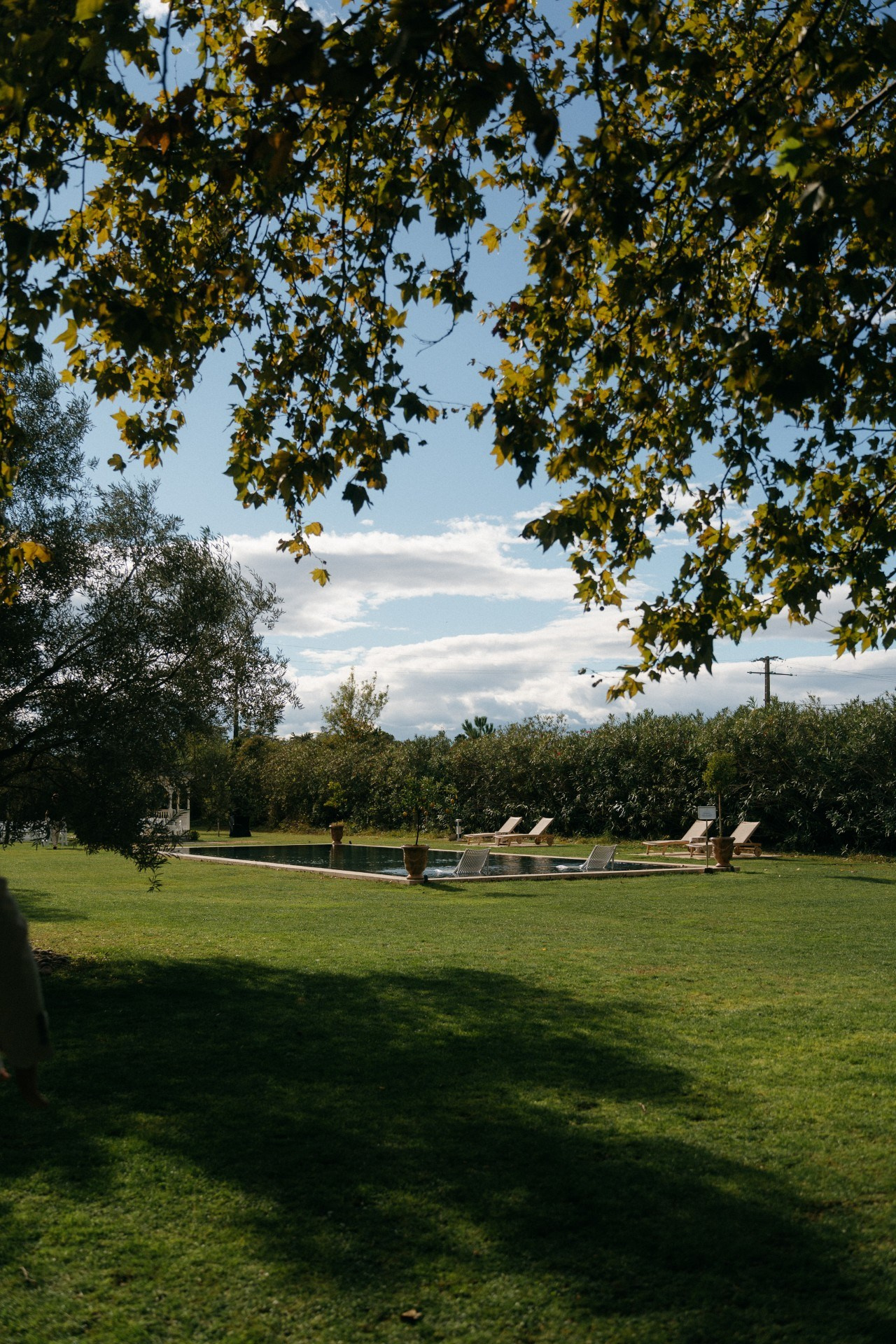 Provence & Promises. Wedding photograper — Alex Popov photography Germany, Switzerland, Italy, France. Based in Stuttgart