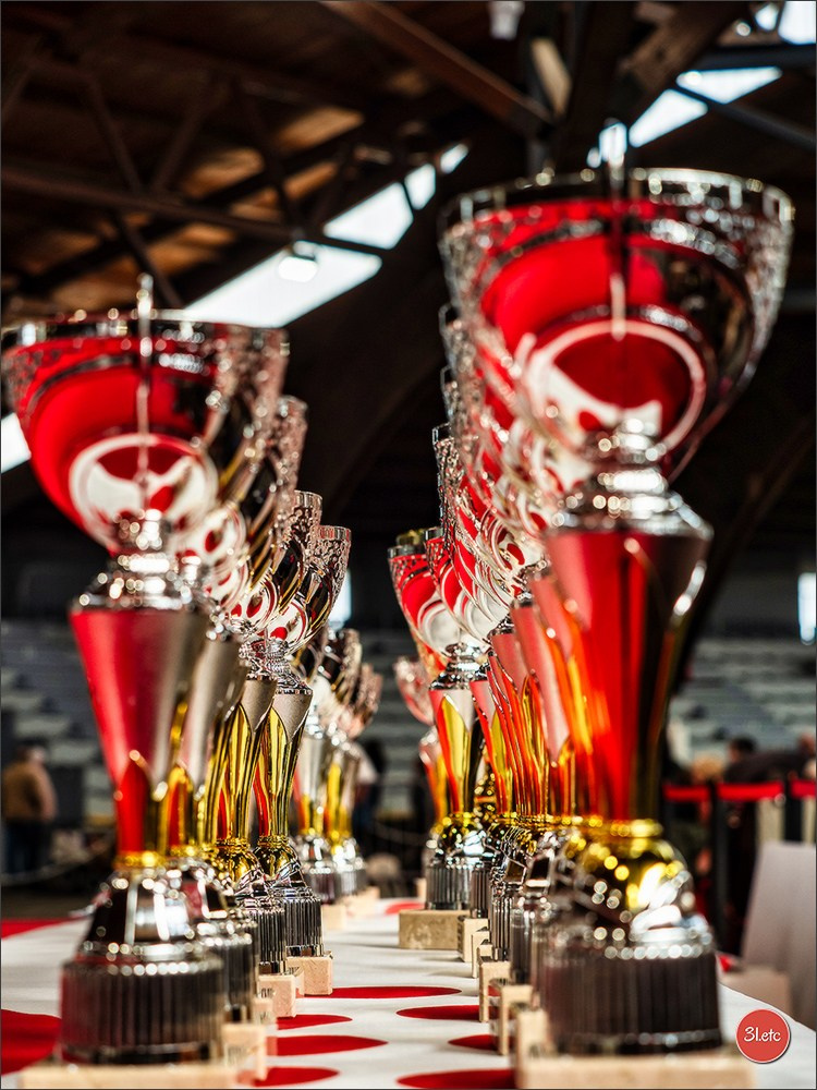 Expo canine 🇫🇷 Poitiers 18-19/10/2025. Photographe à Strasbourg | Portraits, Studio, Enfants, Événements