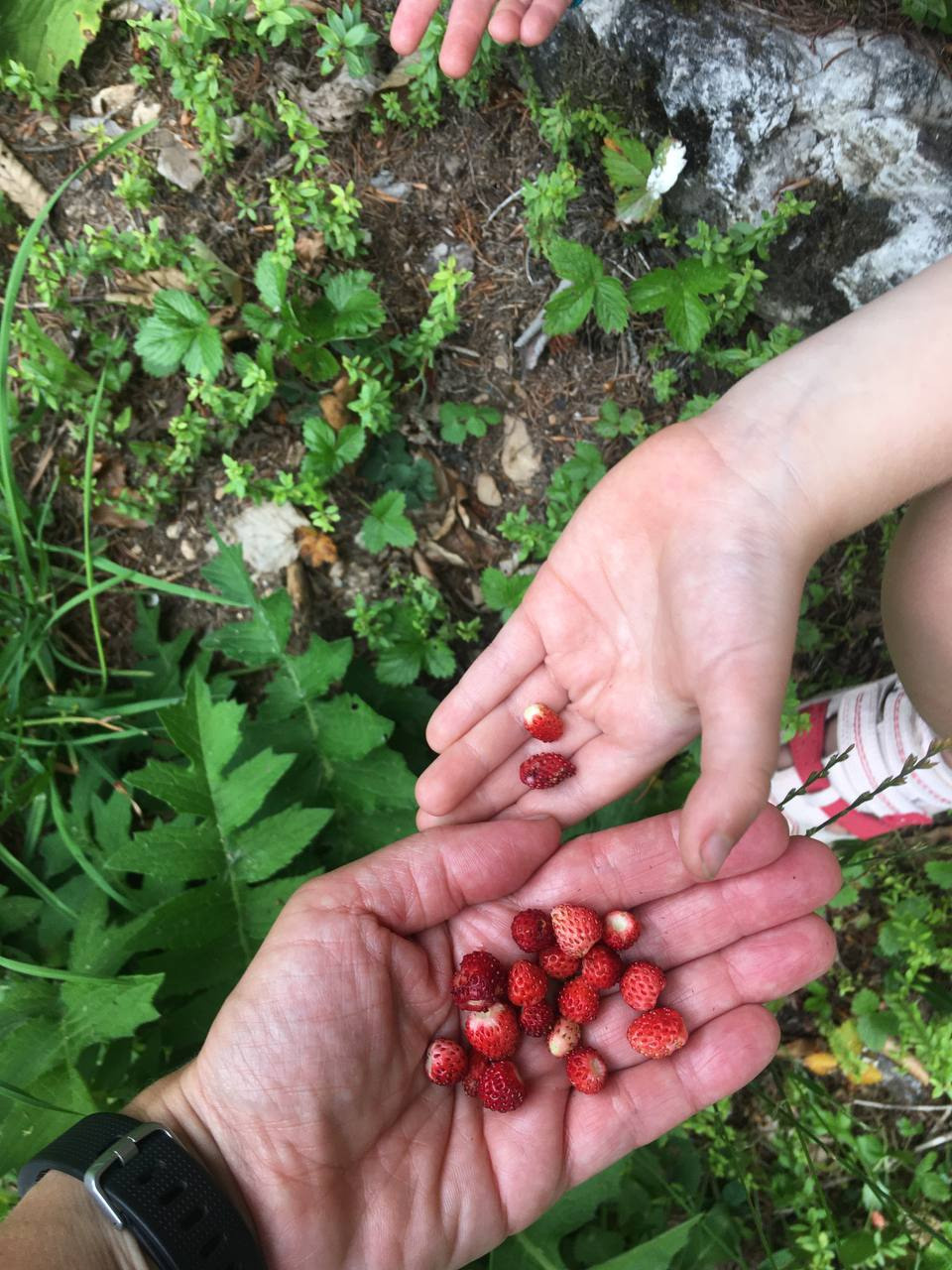 Семейный лагерь «Горные тропы». Семейные лагеря в Европе с Ниной Янечковой и Ириной Зиновьевой