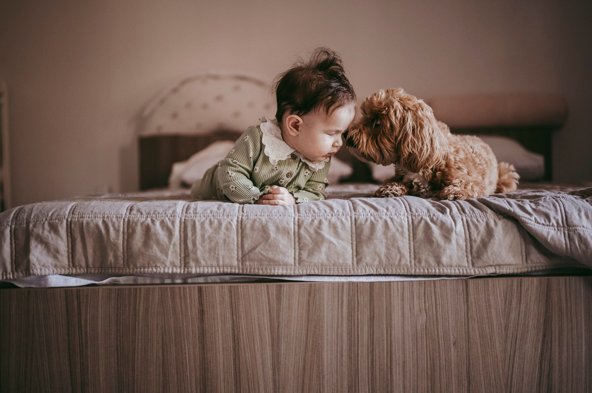 Katarina, Marko i Elena / porodicno fotografisanje kod kuce. Deciji i porodicni fotograf u Beogradu Oksana Skendzic