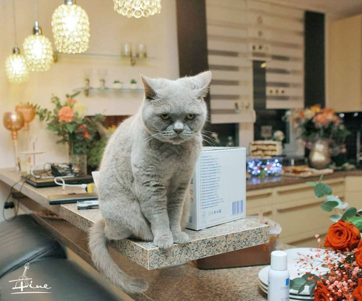 Свадьба в Дортмунде. Khanoff Production Studio