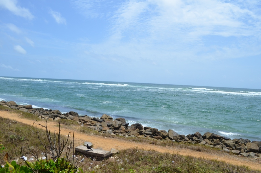 Sri Lanka — Maldives. Milok et Kirok sont des gens positifs et réels. Nous serons ravis de v