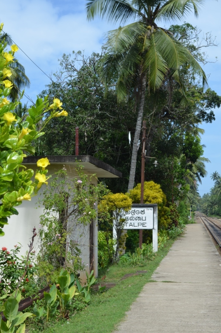 Sri Lanka — Maldives. Milok et Kirok sont des gens positifs et réels. Nous serons ravis de v