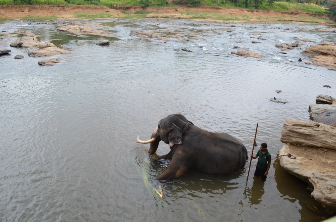 Sri Lanka — Maldives. Milok et Kirok sont des gens positifs et réels. Nous serons ravis de v