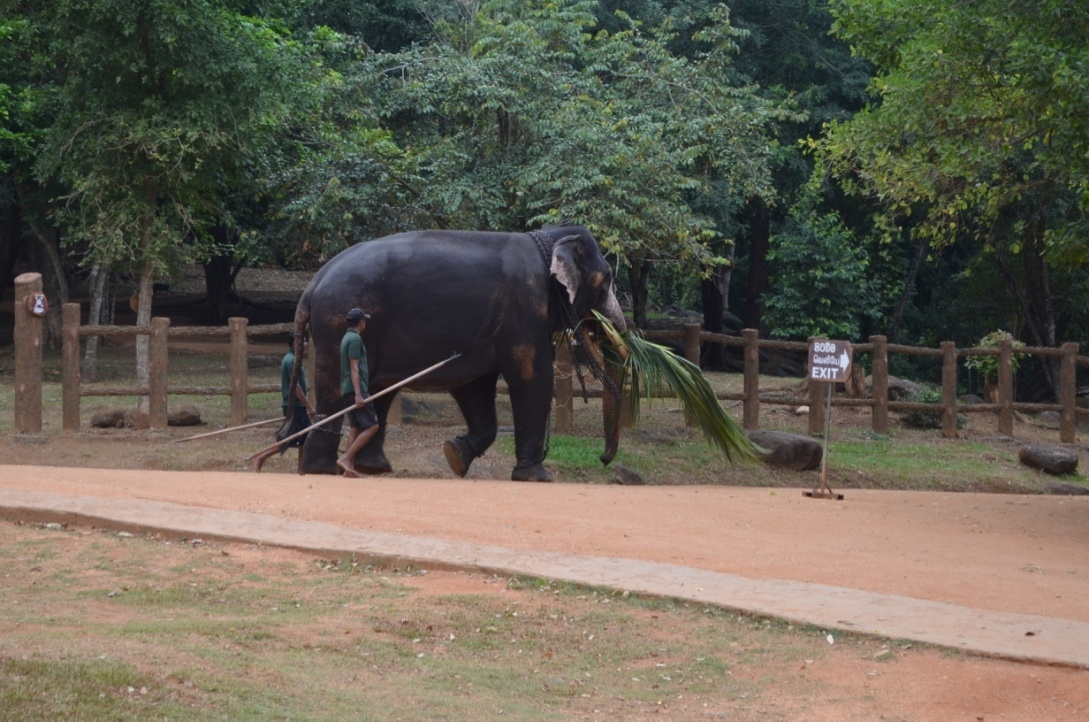 Sri Lanka — Maldives. Milok et Kirok sont des gens positifs et réels. Nous serons ravis de v