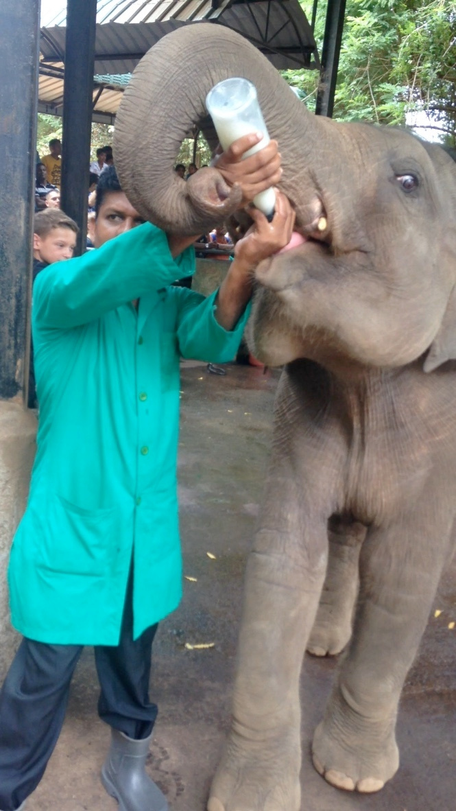 Sri Lanka — Maldives. Milok et Kirok sont des gens positifs et réels. Nous serons ravis de v