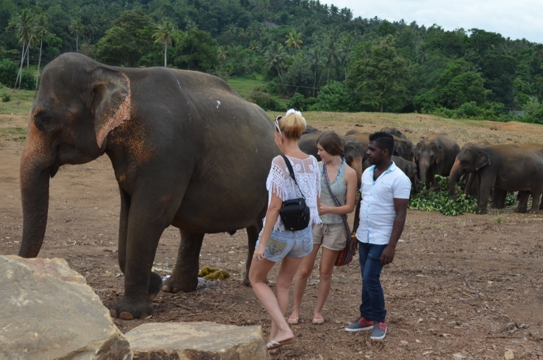 Sri Lanka — Maldives. Milok et Kirok sont des gens positifs et réels. Nous serons ravis de v