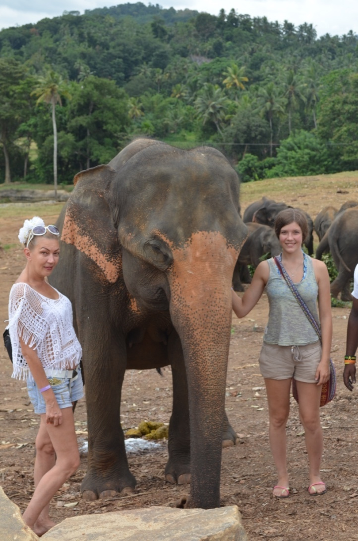 Sri Lanka — Maldives. Milok et Kirok sont des gens positifs et réels. Nous serons ravis de v