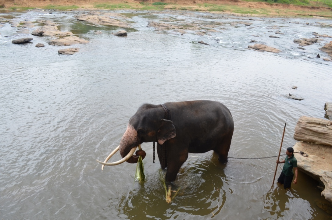 Sri Lanka — Maldives. Milok et Kirok sont des gens positifs et réels. Nous serons ravis de v