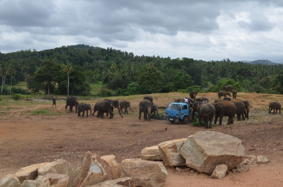 Sri Lanka — Maldives. Milok et Kirok sont des gens positifs et réels. Nous serons ravis de v