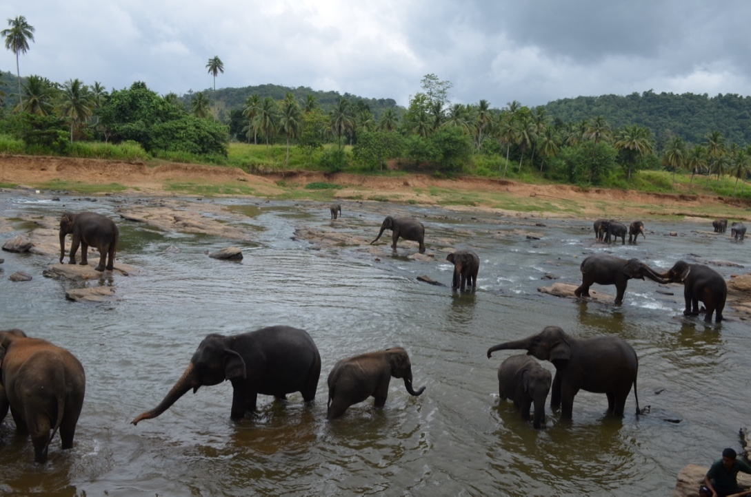 Sri Lanka — Maldives. Milok et Kirok sont des gens positifs et réels. Nous serons ravis de v