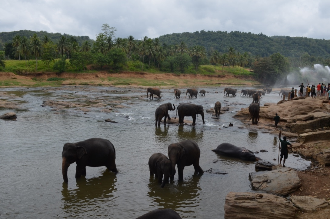 Sri Lanka — Maldives. Milok et Kirok sont des gens positifs et réels. Nous serons ravis de v