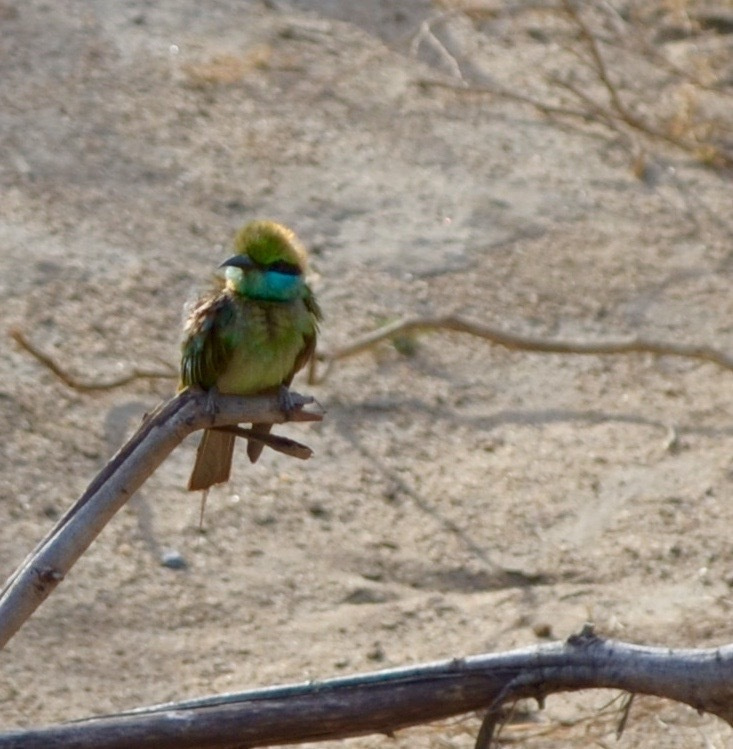 Sri Lanka — Maldives. Milok et Kirok sont des gens positifs et réels. Nous serons ravis de v