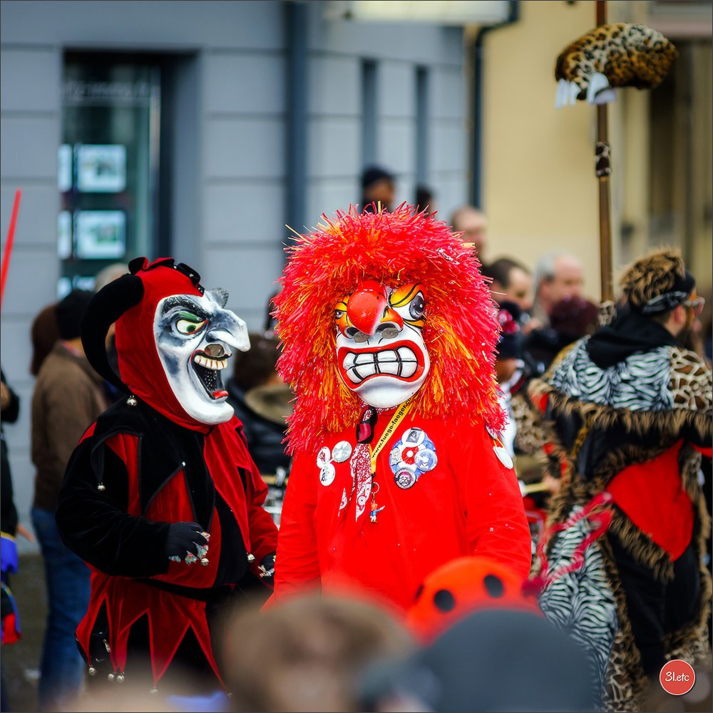 Concerts . Carnavals . Festivals. Photographe à Strasbourg | Portraits, Studio, Enfants, Événements