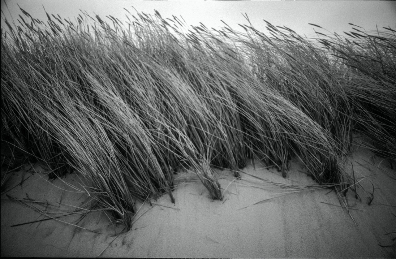 Sacra Natura. Katerina Kiper Photography